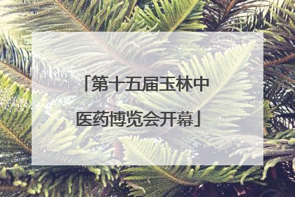 第十五届玉林中医药博览会开幕