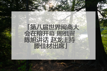 第八届世界闽商大会在榕开幕 周祖翼陈旭讲话 赵龙主持 滕佳材出席
