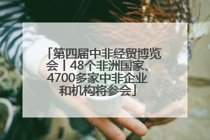 第四届中非经贸博览会丨48个非洲国家、4700多家中非企业和机构将参会