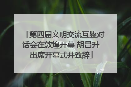 第四届文明交流互鉴对话会在敦煌开幕 胡昌升出席开幕式并致辞