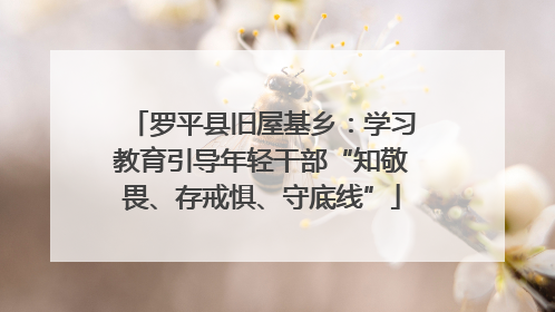 罗平县旧屋基乡：学习教育引导年轻干部“知敬畏、存戒惧、守底线”