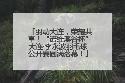 羽动大连，荣耀共享！“诺维溪谷杯”大连·李永波羽毛球公开赛圆满落幕！