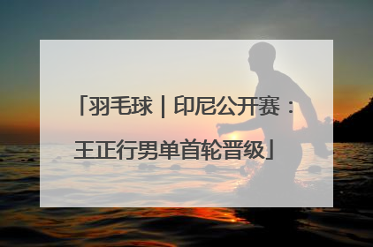 羽毛球｜印尼公开赛：王正行男单首轮晋级