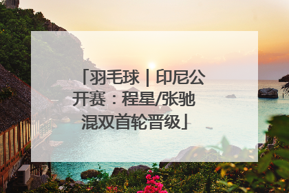 羽毛球｜印尼公开赛：程星/张驰混双首轮晋级