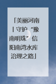 美丽河南丨守护“豫南明珠”信阳南湾水库治理之路