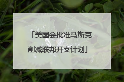 美国会批准马斯克削减联邦开支计划