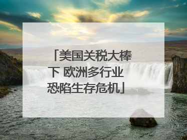 美国关税大棒下 欧洲多行业恐陷生存危机