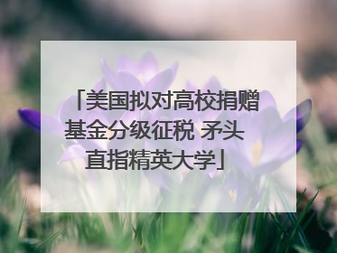 美国拟对高校捐赠基金分级征税 矛头直指精英大学