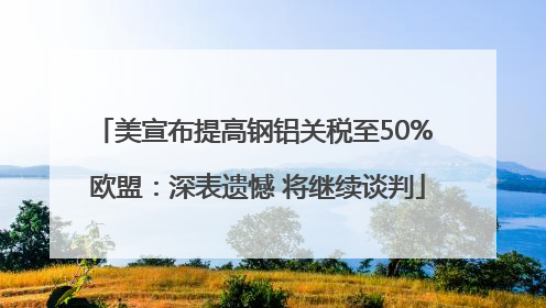 美宣布提高钢铝关税至50% 欧盟：深表遗憾 将继续谈判