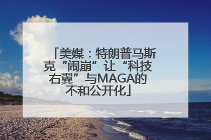 美媒：特朗普马斯克“闹崩”让“科技右翼”与MAGA的不和公开化