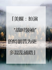 美媒：扮演“战时领袖”的特朗普为更多混乱铺路