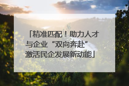精准匹配！助力人才与企业“双向奔赴” 激活民企发展新动能