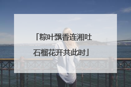 粽叶飘香连湘吐 石榴花开共此时