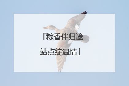 粽香伴归途 站点绽温情