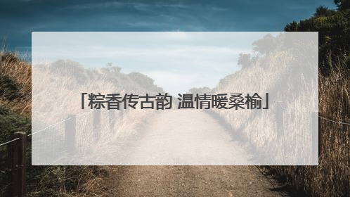 粽香传古韵 温情暖桑榆