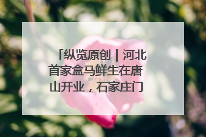 纵览原创｜河北首家盒马鲜生在唐山开业，石家庄门店预计8月开业