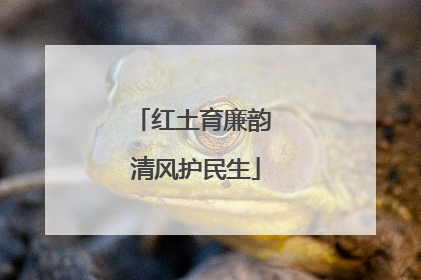 红土育廉韵 清风护民生