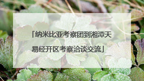 纳米比亚考察团到湘潭天易经开区考察洽谈交流