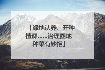 绿地认养、开种植课……治理圈地种菜有妙招