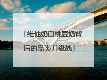 维他奶白桃豆奶背后的品类升级战