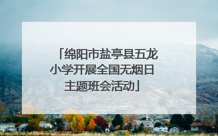 绵阳市盐亭县五龙小学开展全国无烟日主题班会活动