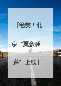 绝美！北京“莫奈睡莲”上线