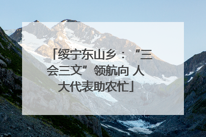 绥宁东山乡：“三会三文”领航向 人大代表助农忙