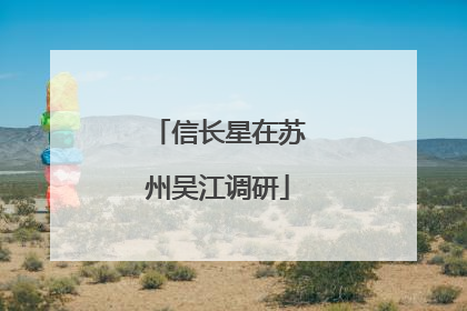 信长星在苏州吴江调研