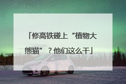 修高铁碰上“植物大熊猫”？他们这么干