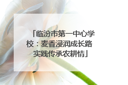 临汾市第一中心学校：麦香浸润成长路 实践传承农耕情