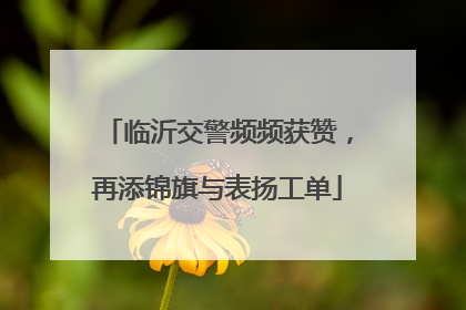 临沂交警频频获赞，再添锦旗与表扬工单