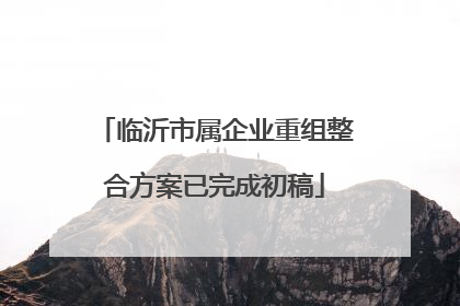 临沂市属企业重组整合方案已完成初稿