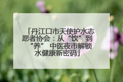 丹江口市天使护水志愿者协会：从“饮”到“养” 中医夜市解锁水健康新密码