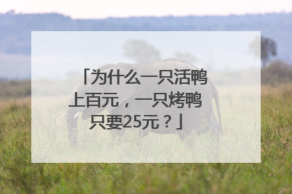 为什么一只活鸭上百元，一只烤鸭只要25元？
