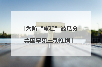 为防“蛋糕”被瓜分 美国罕见主动推销