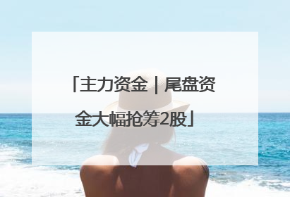 主力资金｜尾盘资金大幅抢筹2股