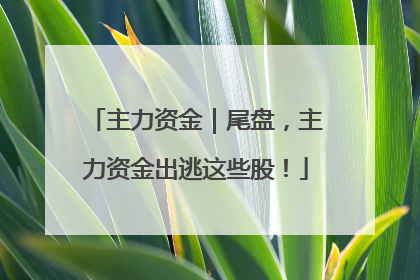 主力资金｜尾盘，主力资金出逃这些股！