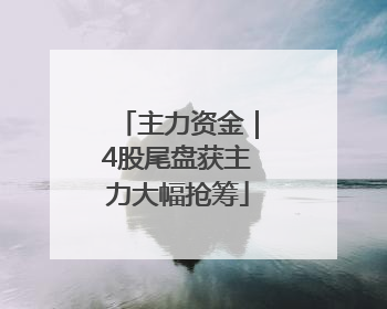 主力资金｜4股尾盘获主力大幅抢筹