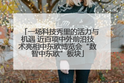 一场科技秀里的活力与机遇 近百项中外前沿技术亮相中东欧博览会“数智中东欧”板块