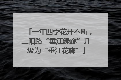 一年四季花开不断，三阳路“垂江绿廊”升级为“垂江花廊”