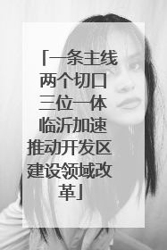 一条主线 两个切口 三位一体 临沂加速推动开发区建设领域改革