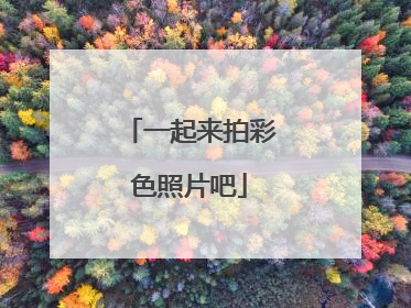 一起来拍彩色照片吧