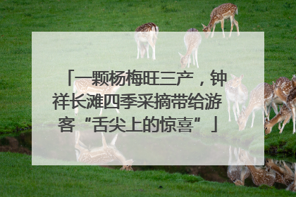 一颗杨梅旺三产，钟祥长滩四季采摘带给游客“舌尖上的惊喜”
