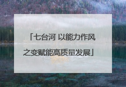 七台河 以能力作风之变赋能高质量发展
