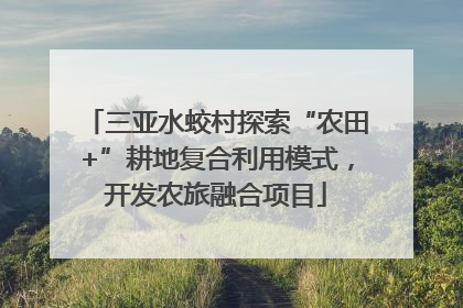 三亚水蛟村探索“农田+”耕地复合利用模式，开发农旅融合项目