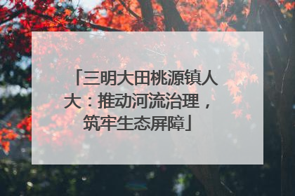 三明大田桃源镇人大：推动河流治理，筑牢生态屏障