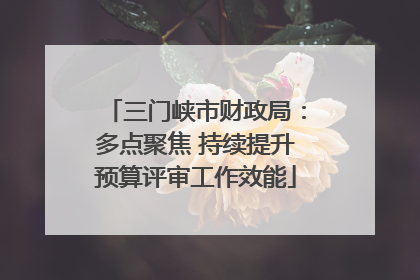 三门峡市财政局：多点聚焦 持续提升预算评审工作效能