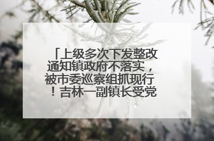 上级多次下发整改通知镇政府不落实，被市委巡察组抓现行！吉林一副镇长受党内警告处分