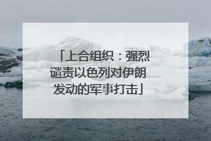 上合组织：强烈谴责以色列对伊朗发动的军事打击