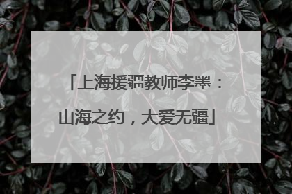 上海援疆教师李墨：山海之约，大爱无疆